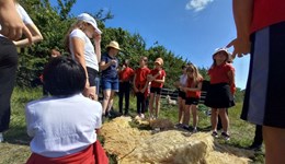 Future consumers get a taste of agriculture at on-farm school events